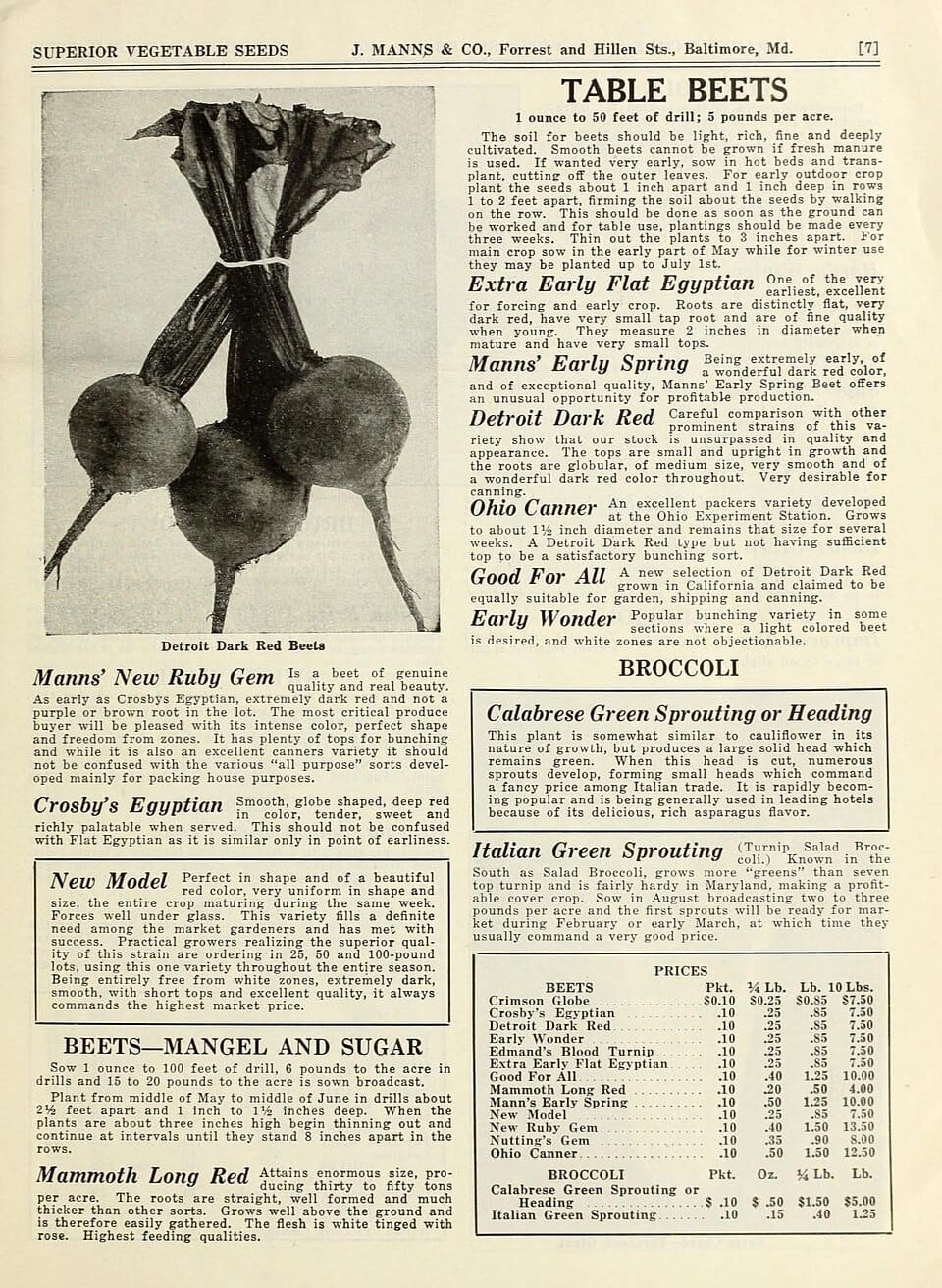 Insalata di mare: fresca, leggera e perfetta per l'estate